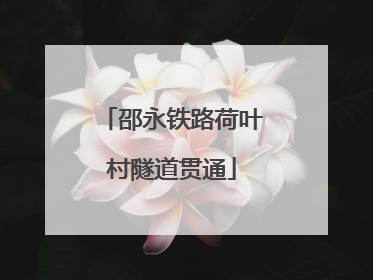 邵永铁路荷叶村隧道贯通