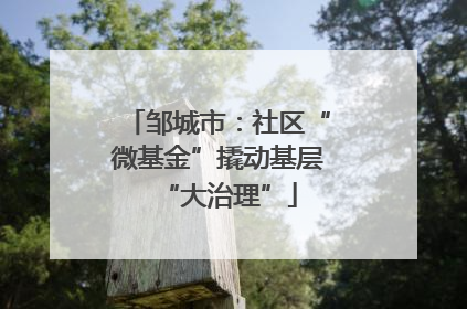 邹城市：社区“微基金”撬动基层“大治理”