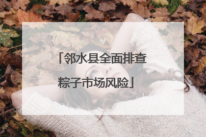 邻水县全面排查粽子市场风险