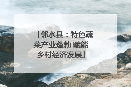 邻水县：特色蔬菜产业蓬勃 赋能乡村经济发展