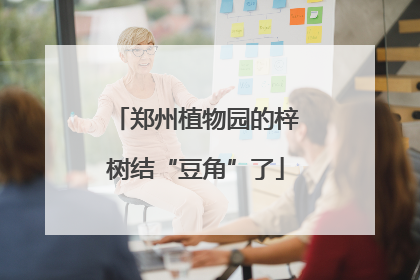 郑州植物园的梓树结“豆角”了