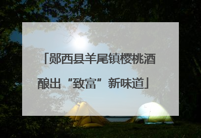 郧西县羊尾镇樱桃酒酿出“致富”新味道
