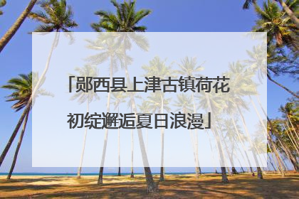 郧西县上津古镇荷花初绽邂逅夏日浪漫