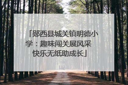 郧西县城关镇明德小学：趣味闯关展风采 快乐无纸助成长