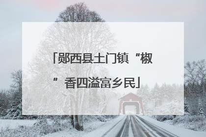 郧西县土门镇“椒”香四溢富乡民