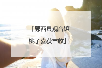 郧西县观音镇桃子喜获丰收