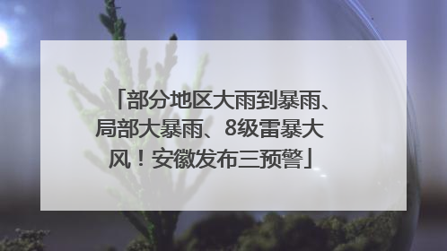部分地区大雨到暴雨、局部大暴雨、8级雷暴大风！安徽发布三预警