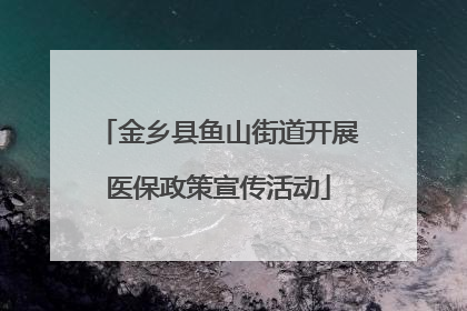 金乡县鱼山街道开展医保政策宣传活动
