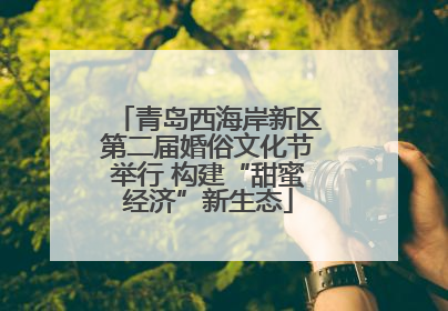 青岛西海岸新区第二届婚俗文化节举行 构建“甜蜜经济”新生态