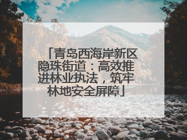 青岛西海岸新区隐珠街道：高效推进林业执法，筑牢林地安全屏障