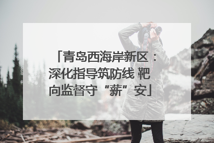 青岛西海岸新区：深化指导筑防线 靶向监督守“薪”安