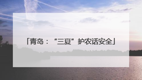 青岛：“三夏”护农话安全