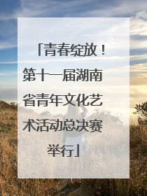 青春绽放！第十一届湖南省青年文化艺术活动总决赛举行