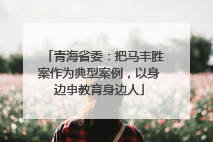 青海省委：把马丰胜案作为典型案例，以身边事教育身边人