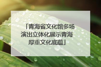 青海省文化馆多场演出立体化展示青海厚重文化底蕴