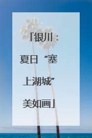 银川：夏日“塞上湖城”美如画
