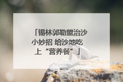 锡林郭勒盟治沙小妙招 给沙地吃上“营养餐”