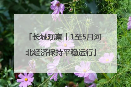 长城观察丨1至5月河北经济保持平稳运行