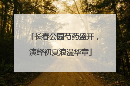 长春公园芍药盛开，演绎初夏浪漫华章