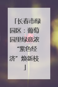 长春市绿园区：葡萄园里绿意浓 “紫色经济”焕新枝