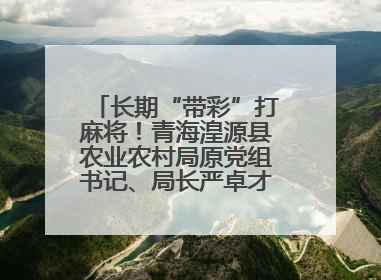 长期“带彩”打麻将！青海湟源县农业农村局原党组书记、局长严卓才被“双开”