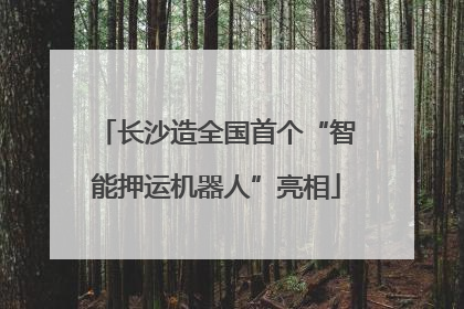长沙造全国首个“智能押运机器人”亮相