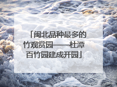 闽北品种最多的竹观赏园——杜潭百竹园建成开园
