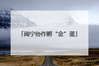 闽宁协作孵“金”蛋