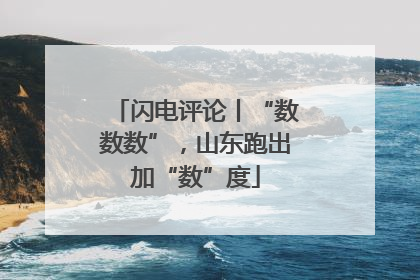 闪电评论丨“数数数”，山东跑出加“数”度