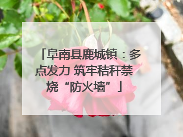 阜南县鹿城镇：多点发力 筑牢秸秆禁烧“防火墙”