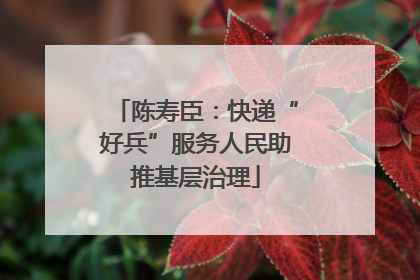 陈寿臣：快递“好兵”服务人民助推基层治理