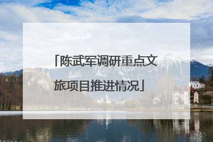 陈武军调研重点文旅项目推进情况