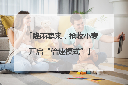 降雨要来，抢收小麦开启“倍速模式”