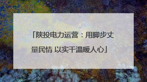 陕投电力运营：用脚步丈量民情 以实干温暖人心