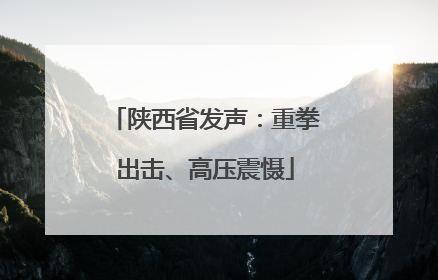 陕西省发声：重拳出击、高压震慑