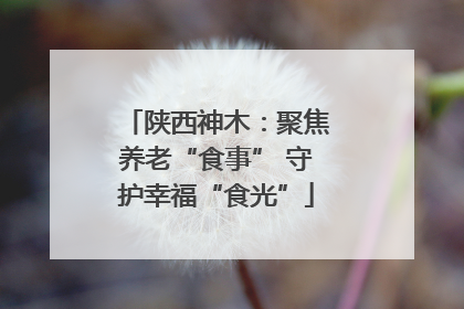陕西神木：聚焦养老“食事” 守护幸福“食光”