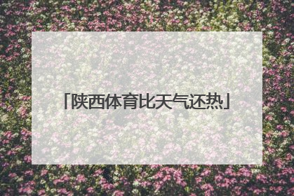 陕西体育比天气还热