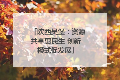 陕西吴堡：资源共享惠民生 创新模式促发展