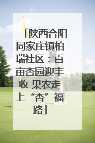 陕西合阳同家庄镇柏瑞社区：百亩杏园迎丰收 果农走上“杏”福路