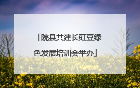 院县共建长豇豆绿色发展培训会举办