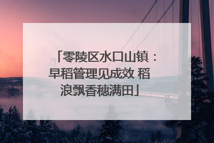 零陵区水口山镇：早稻管理见成效 稻浪飘香穗满田