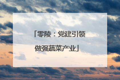 零陵：党建引领 做强蔬菜产业