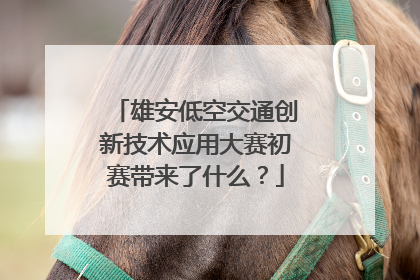 雄安低空交通创新技术应用大赛初赛带来了什么？