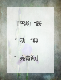 雪豹“跃”动 “典”亮青海