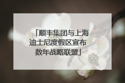 顺丰集团与上海迪士尼度假区宣布数年战略联盟