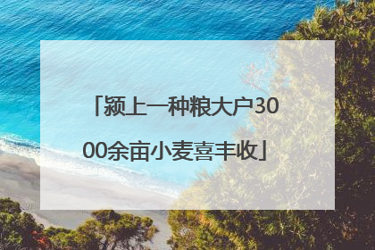 颍上一种粮大户3000余亩小麦喜丰收