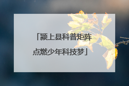颍上县科普矩阵点燃少年科技梦