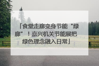 食堂走廊变身节能“绿廊”！嘉兴机关节能展把绿色理念融入日常