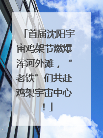 首届沈阳宇宙鸡架节燃爆浑河外滩，“老铁”们共赴鸡架宇宙中心！