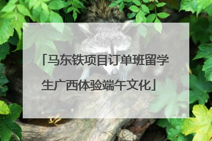马东铁项目订单班留学生广西体验端午文化